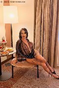 Foto Immagine Nick Miller Transescort Rimini 3382945956 - 46