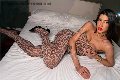 Foto Immagine Nicole Andrade Transescort Milano 3298948041 - 24