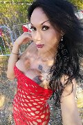  Trans Escort Adriana Paulett 389 13 99 263 foto selfie 24