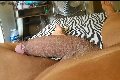 Roma Trans Dea 380 19 62 239 foto selfie 34