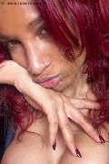 Firenze Trans Escort Kiara Bardo 328 77 52 641 foto selfie 27