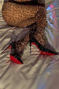 Milano Trans Escort Nicole Andrade 329 89 48 041 foto selfie 1