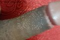 Prato Trans Tain� Oliveira 328 53 82 487 foto selfie 171