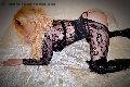 Foto Immagine Sexy Thays Transescort Francavilla Fontana 3913000226 - 12