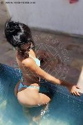 Foto Immagine Sophia Trans Torre Del Lago Puccini 3930405983 - 7
