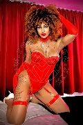 Foto Immagine Stella Trans Milano 3295563971 - 18