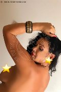 Foto Immagine Suzana Pantera Trans Alessandria 3929724965 - 87