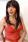 Foto Immagine Tain� Oliveira Trans Prato 3285382487 - 50
