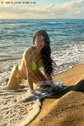 Foto Immagine Tain� Oliveira Trans Prato 3285382487 - 1