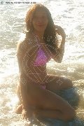 Foto Immagine Tain� Oliveira Trans Prato 3285382487 - 14