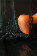 Foto Immagine Tiny Mouse Escort Venezia 3284690312 - 19