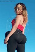 Foto Immagine Zara Marcano Trans Ferrara 3278360510 - 138