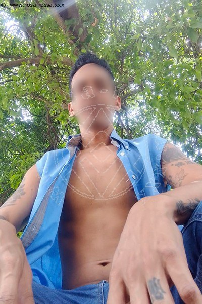 Andrew CARACAS 00584127794313