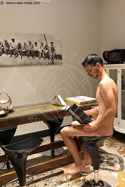 David XXL LIVORNO 3512295685